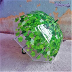 Designerksa transparentna parasolka damska z zielonym motywem roślinnym