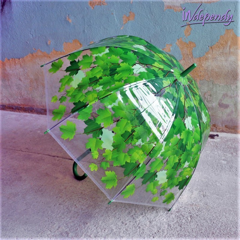 Designerksa transparentna parasolka damska z zielonym motywem roślinnym